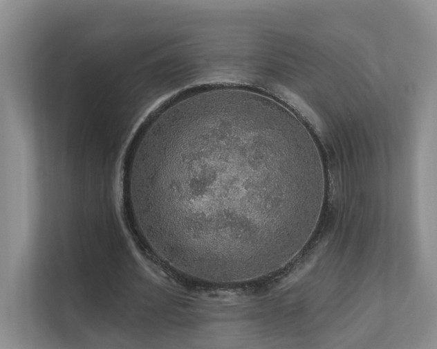 X0000111580580200907161427