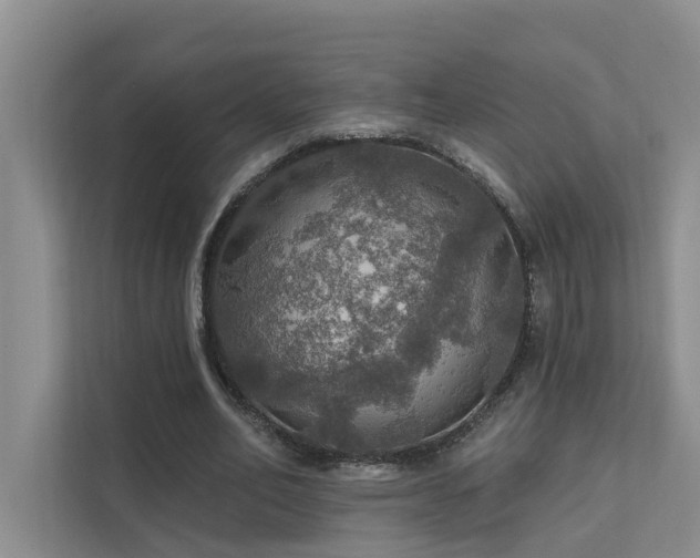 X0000111580582200907161427