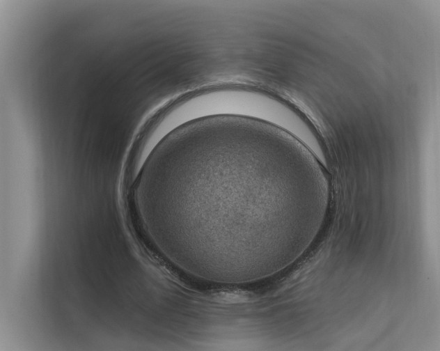 X0000111580583200907161427
