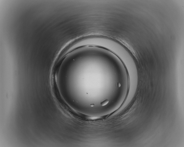 X0000111580584200907161427