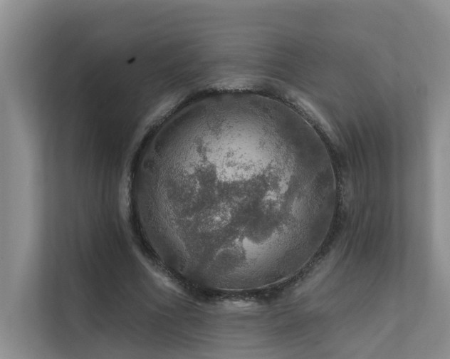 X0000111580586200907161427