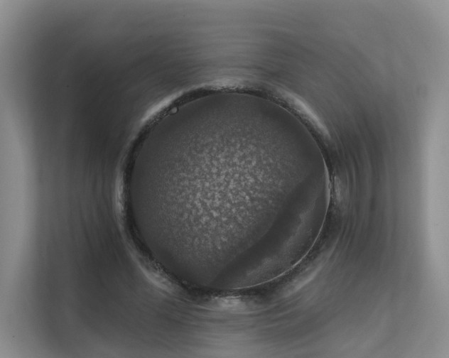 X0000111580588200907161427