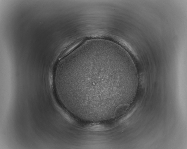 X0000111580589200907161426