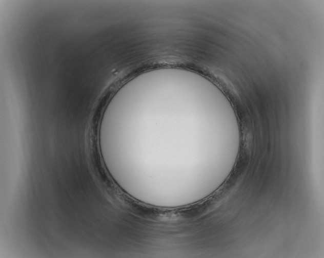 X0000111580591200907161426