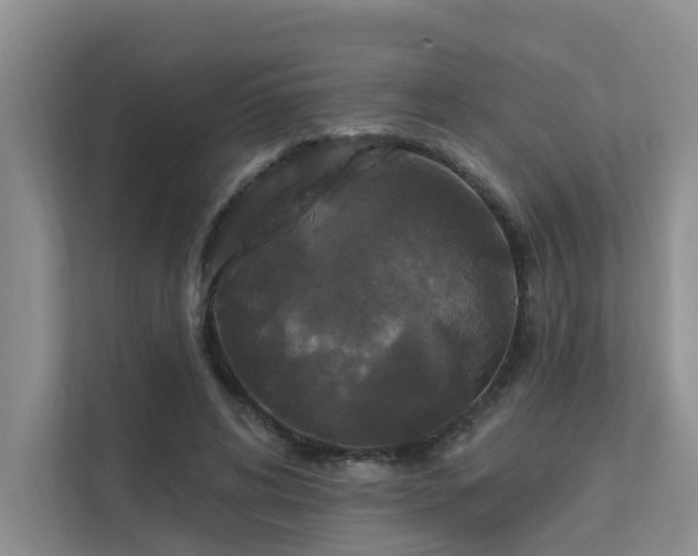X0000111580592200907161426