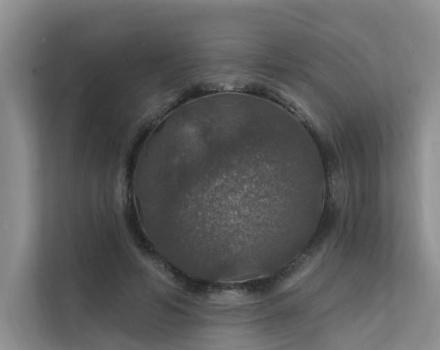X0000111580594200907161426
