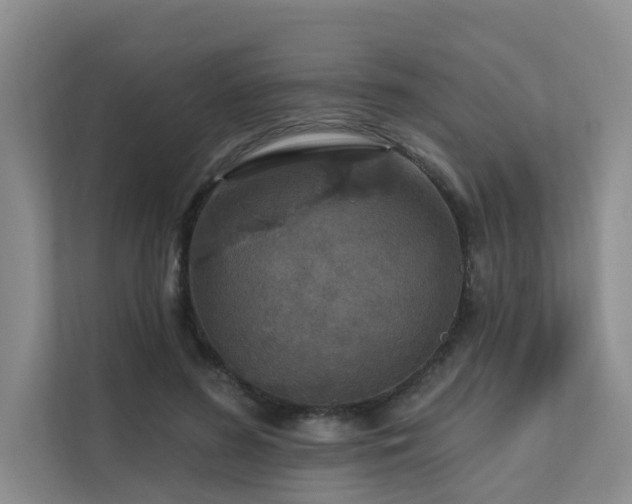 X0000111580596200907161426