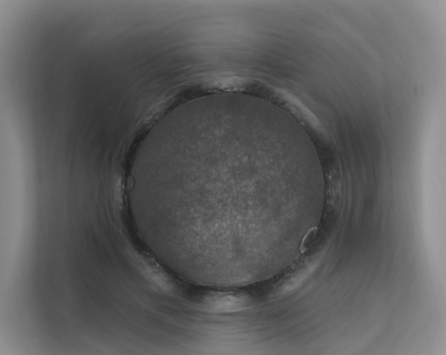 X0000111580597200907161426