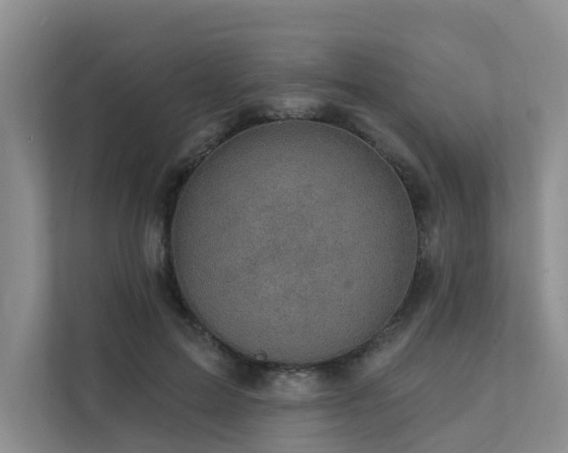 X0000111580599200907161426