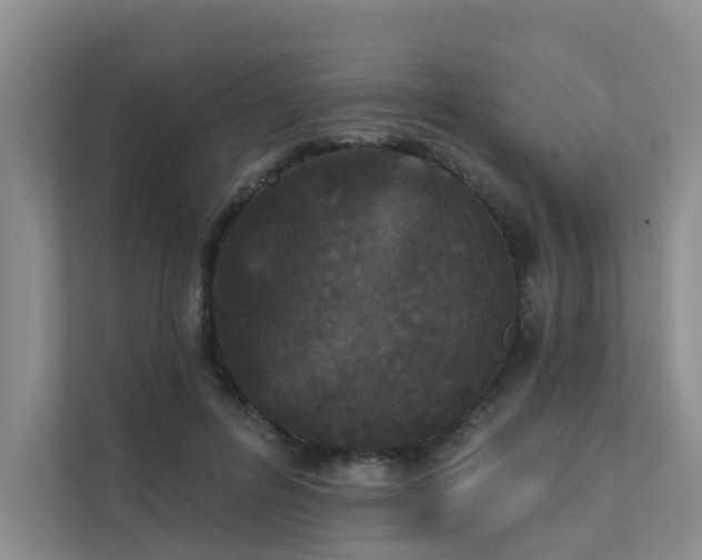 X0000111580600200907161426