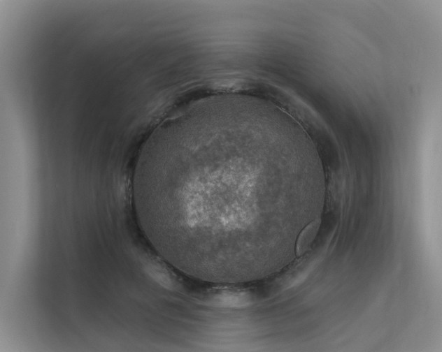 X0000111580601200907161426
