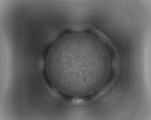 X0000111580602200907161426