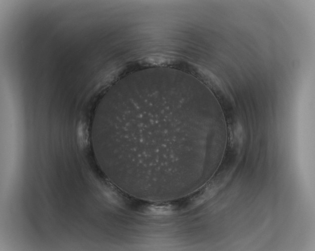 X0000111580606200907161426