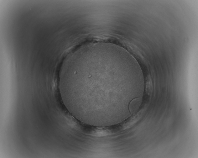 X0000111580608200907161426