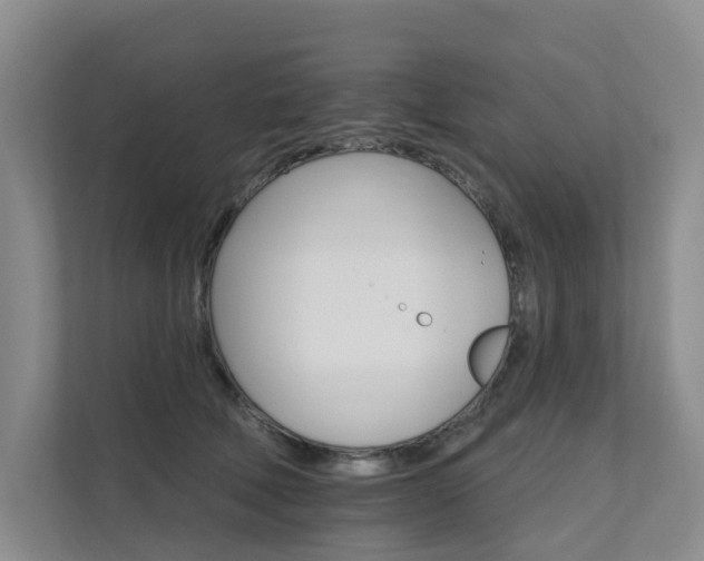 X0000111580610200907161426
