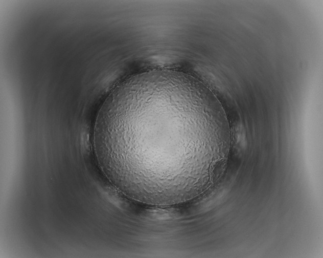 X0000111580615200907161426