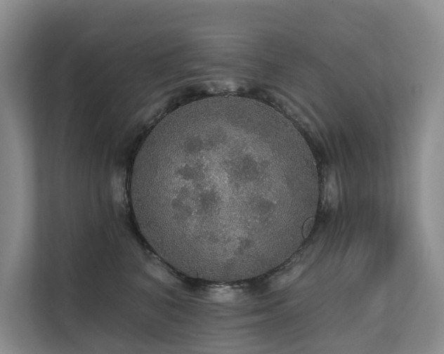 X0000111580616200907161426