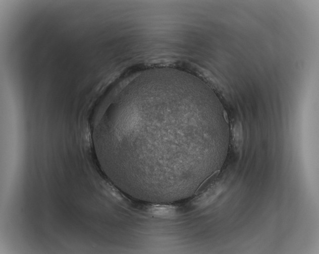 X0000111580617200907161426