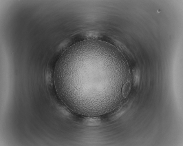 X0000111580619200907161426