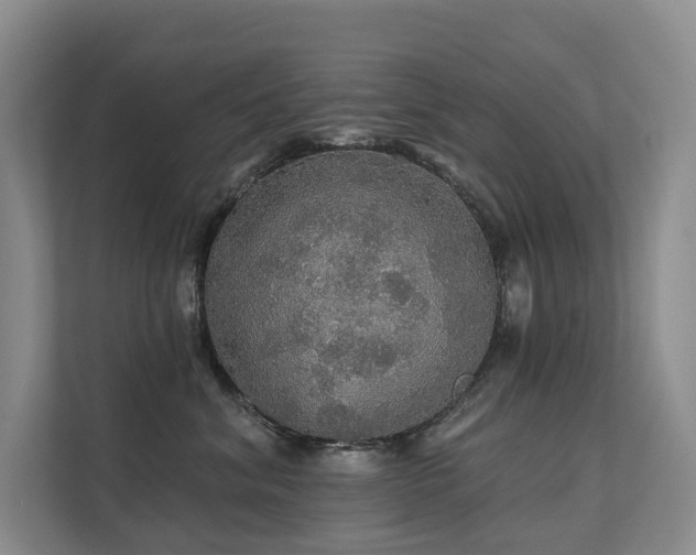 X0000111580620200907161426