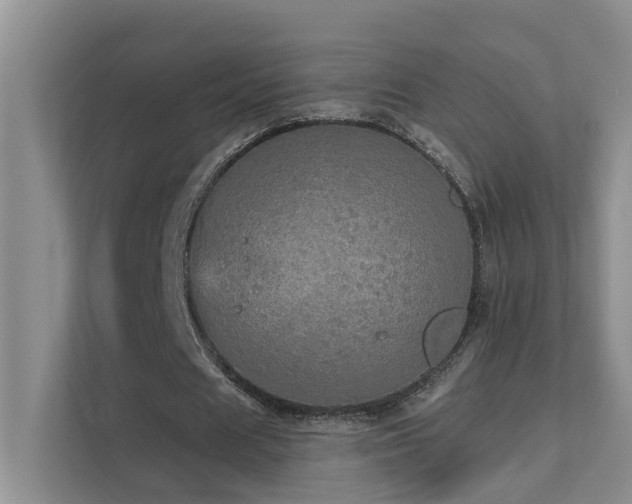 X0000111580625200907161425