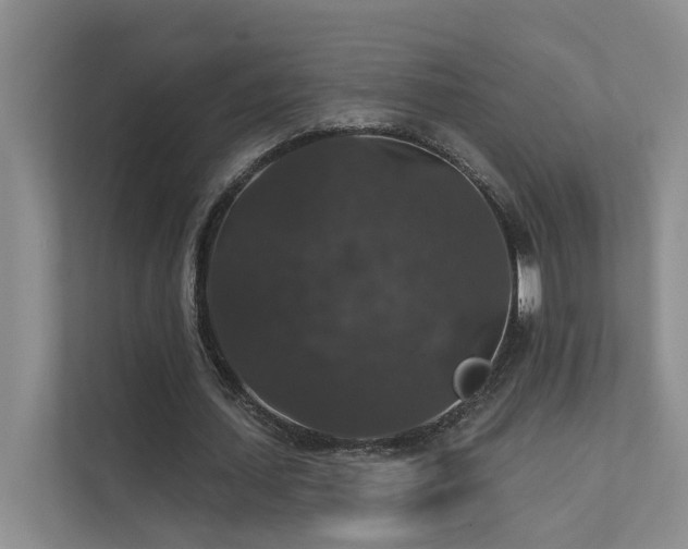 X0000111580627200907161425
