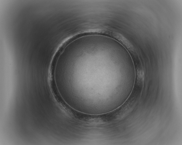X0000111580628200907161425