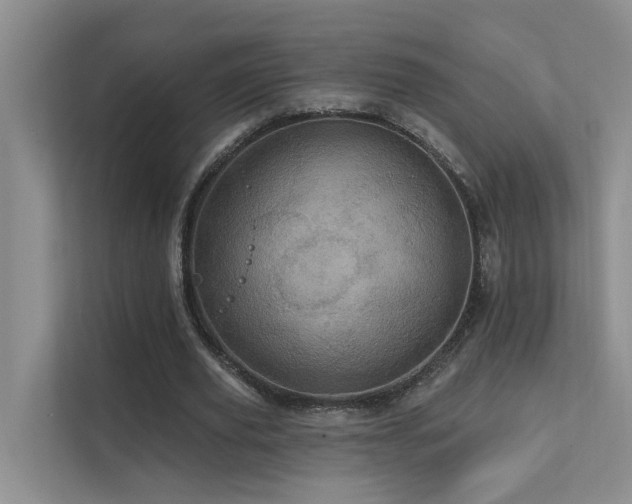 X0000111580629200907161425