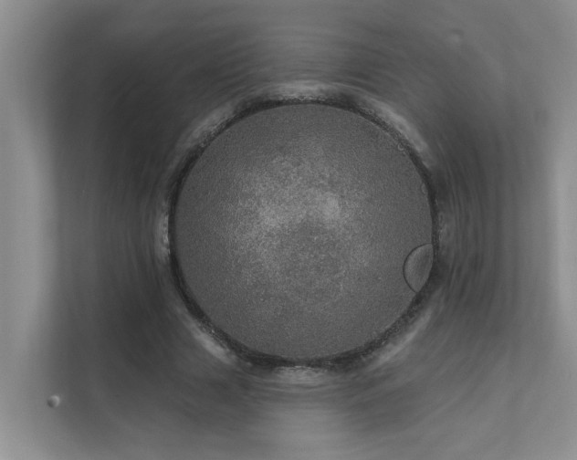 X0000111580633200907161425