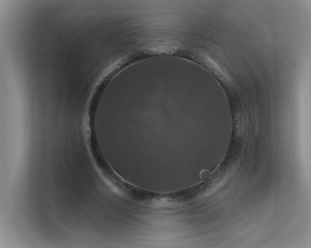 X0000111580634200907161425