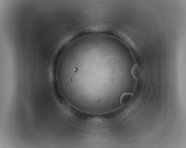 X0000111580635200907161426