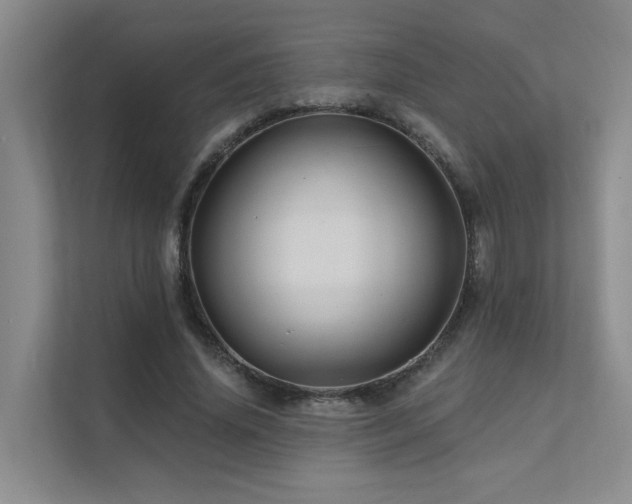 X0000111580636200907161426