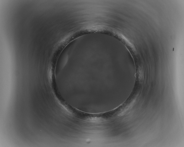 X0000111580637200907161426