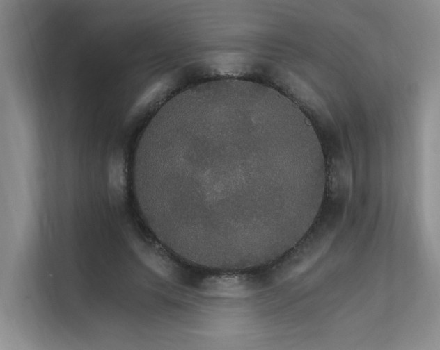 X0000111580639200907161426