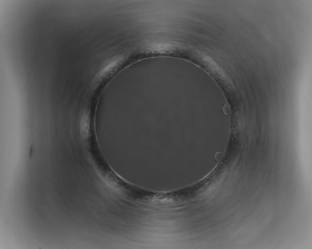 X0000111580640200907161426