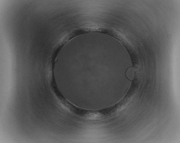 X0000111580642200907161426