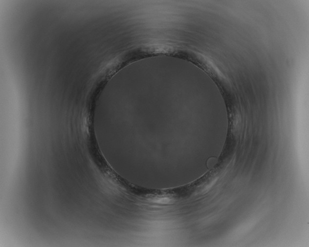 X0000111580643200907161426