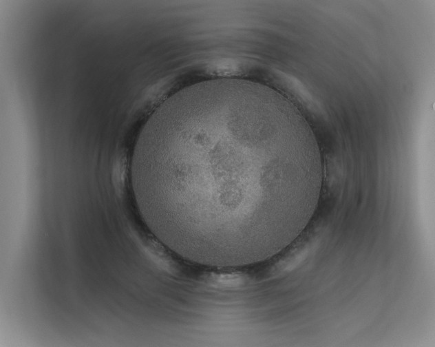 X0000111580645200907161426