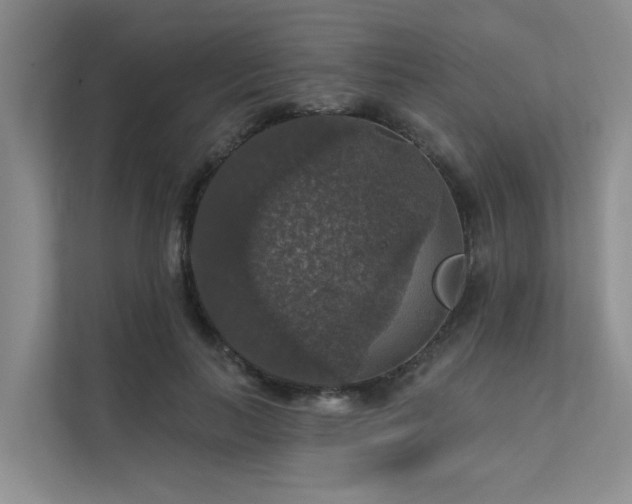 X0000111580647200907161426