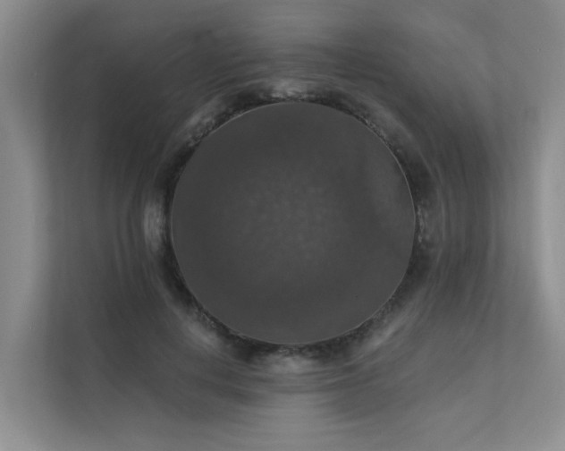 X0000111580648200907161426