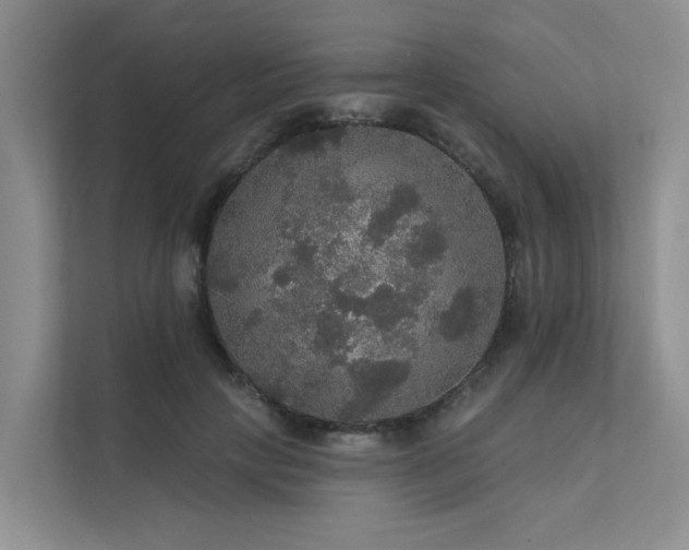 X0000111580649200907161426