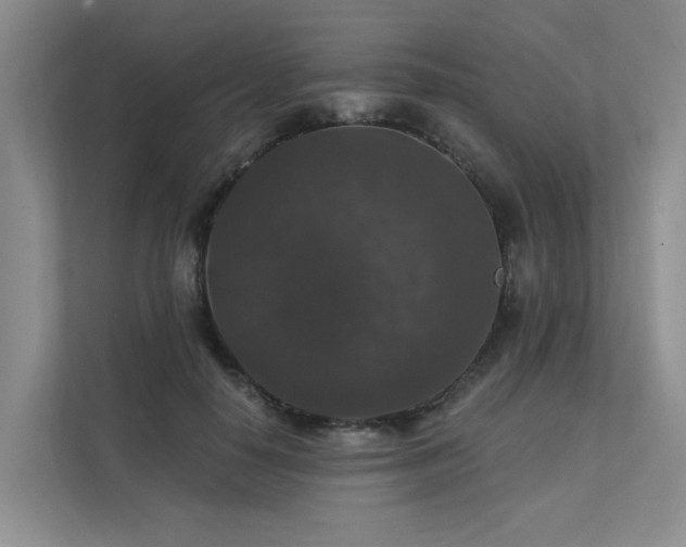X0000111580650200907161426