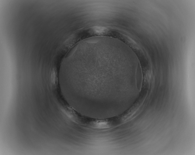 X0000111580651200907161426