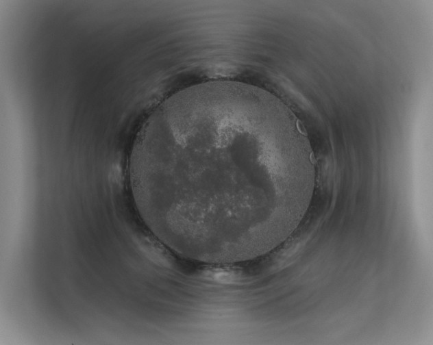 X0000111580655200907161426
