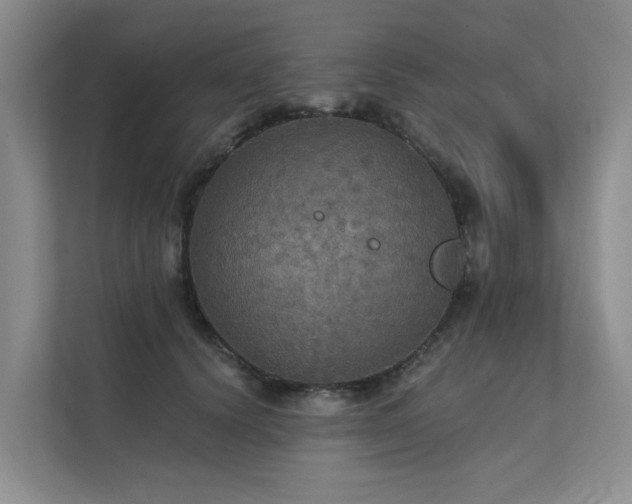 X0000111580656200907161426