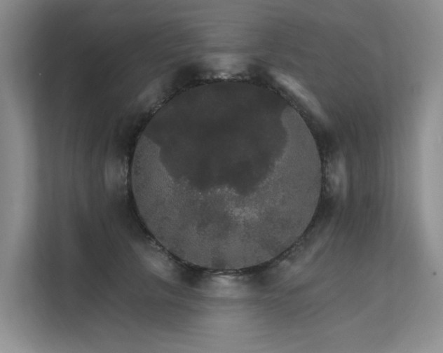 X0000111580657200907161426