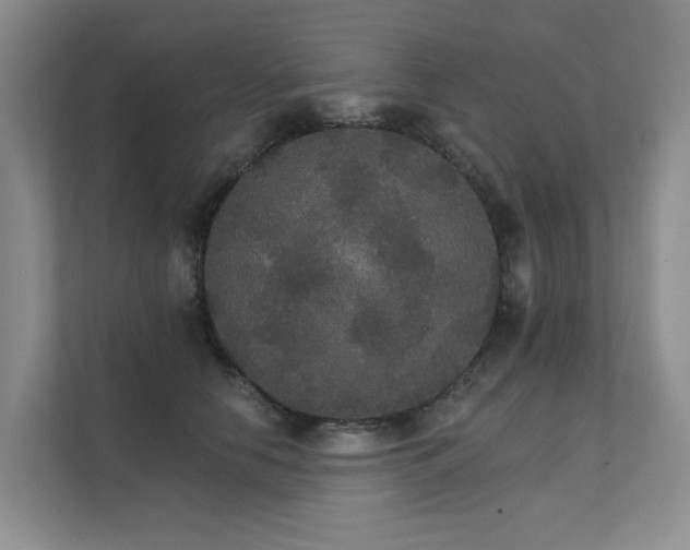 X0000111580658200907161426