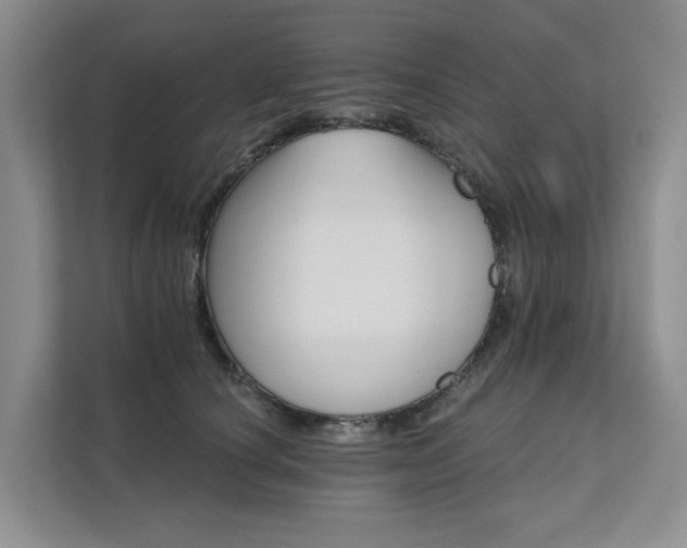 X0000111580660200907161426