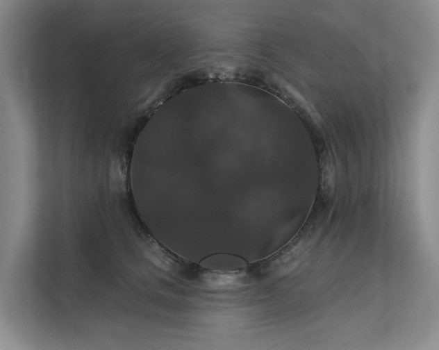 X0000111580661200907161426