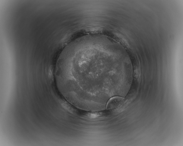 X0000111580662200907161426